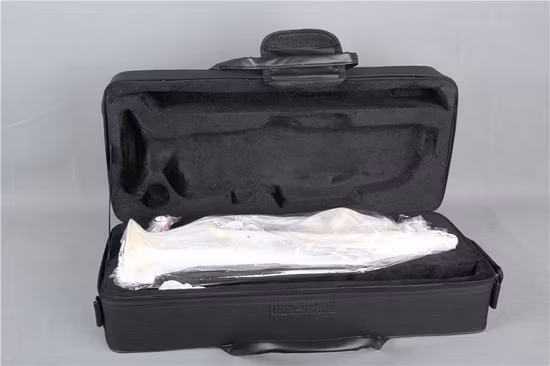 Trumpet/ Bb Trumpet/ Brass / Musical Instruments / Tr