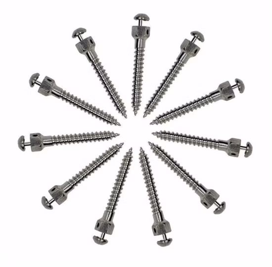 Dental Orthodontic Micro Screw/Orthodontic Self